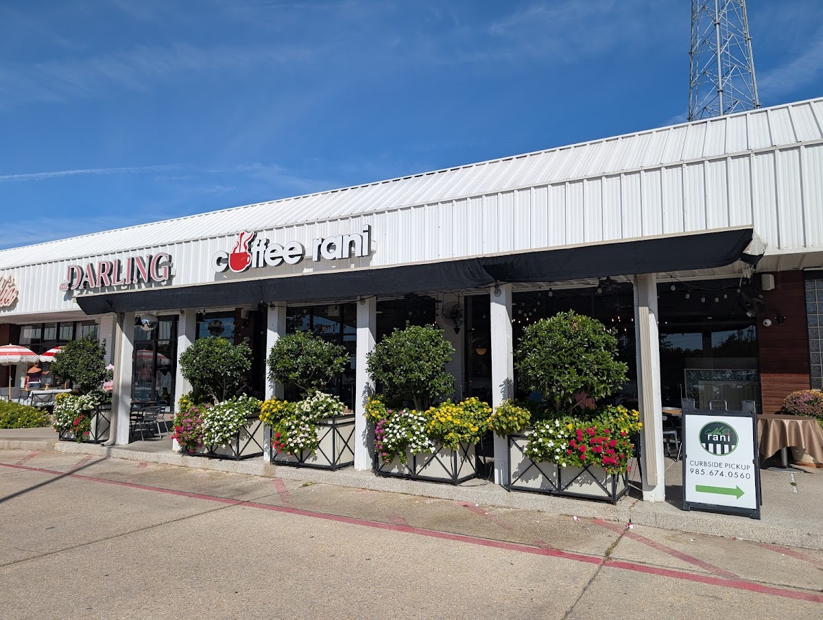 Coffee Rani - Mandeville